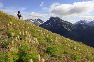 Bear Grass Hiker and Glacier Peak Wilderness Bavaria 1411 